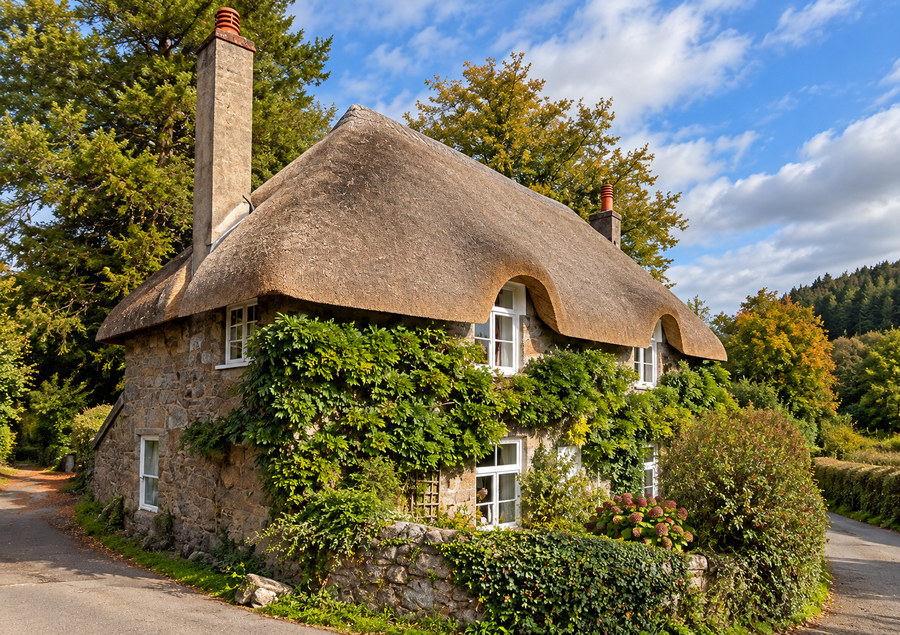 Thatched stone cottage with a tall chimney in Thorn