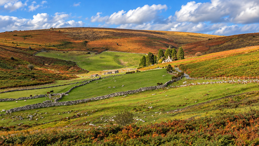 Headland Warren Farm amid green enclosures, dry-stone walls and open moor