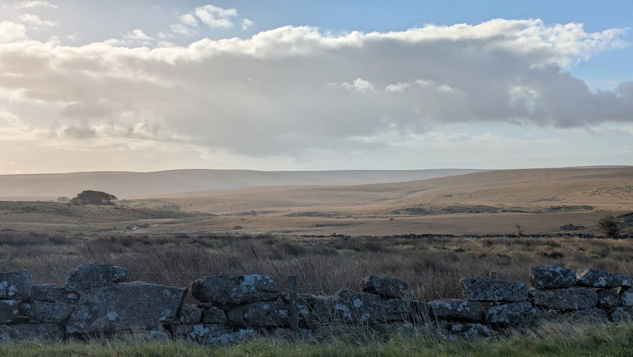 Subdued morning light over Dartmoor, beyond a lichen-covered stone wall