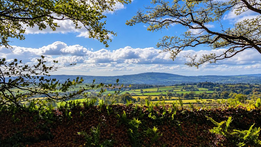 View across the countryside towards Kit Hill