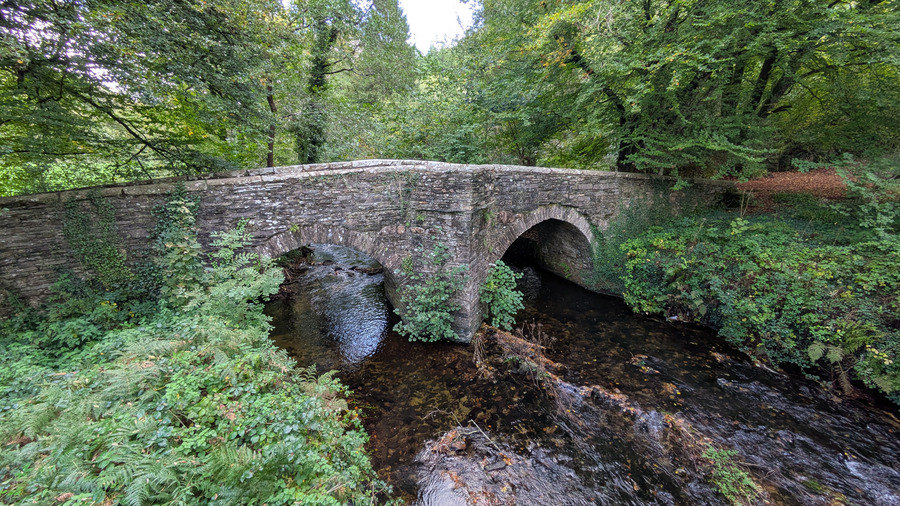 The River Fowey at the stone bridge near Treverbyn Mill.