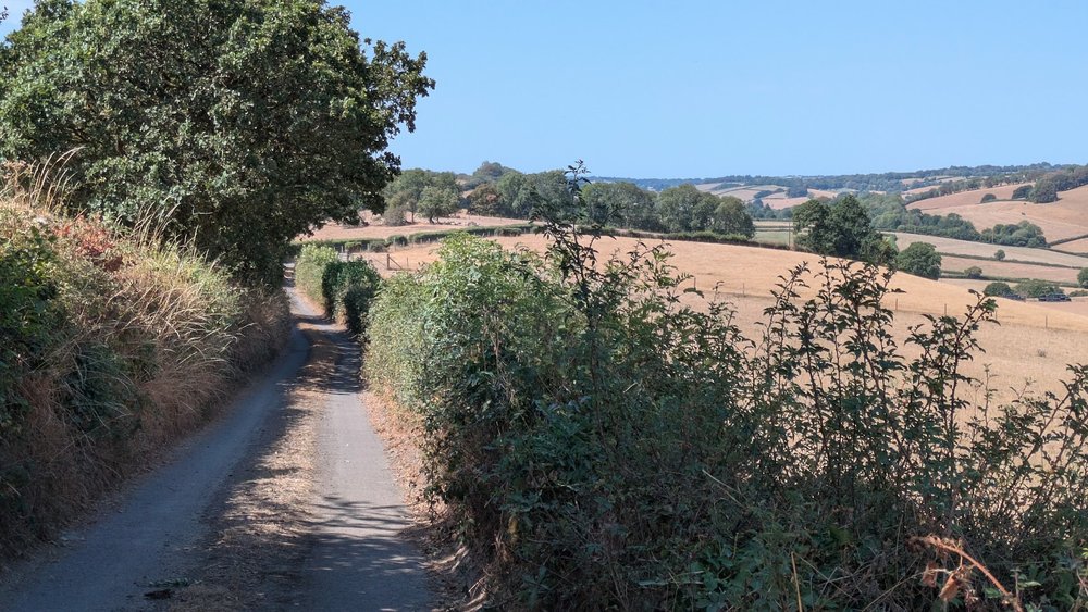A narrow country lane on the hilly section of the ride.