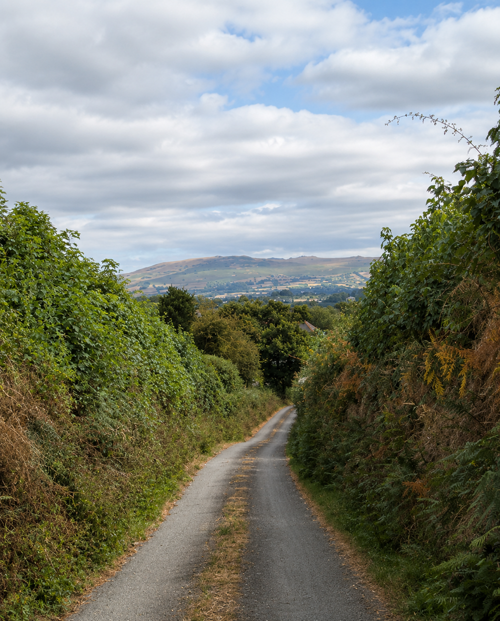Devon lane