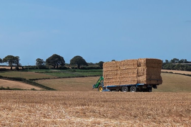 Harvesting in the South Hams countryside.