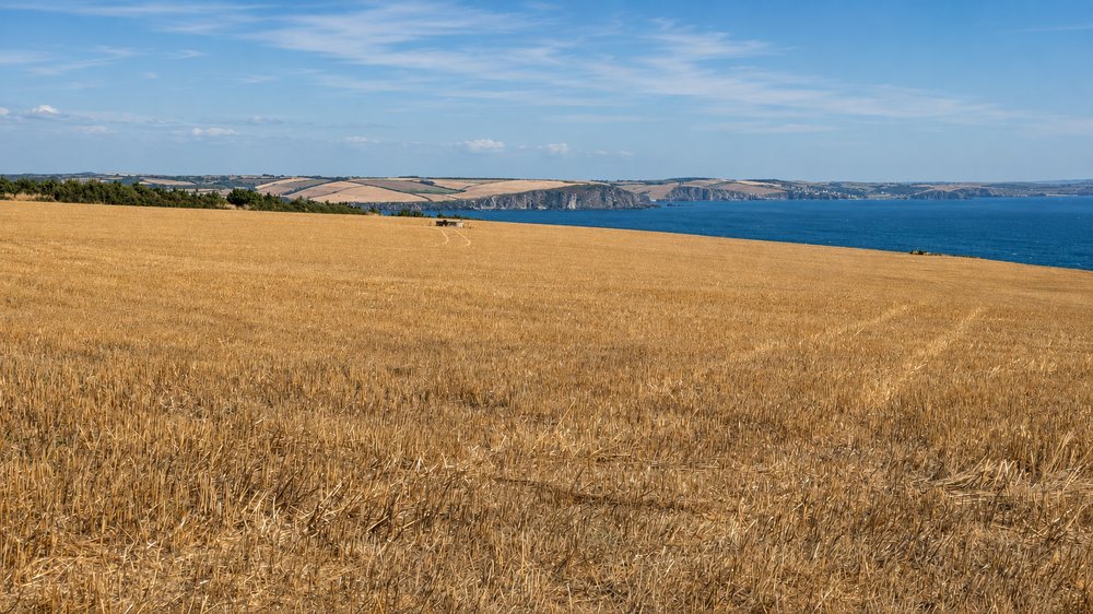 Fields and South Devon coastline