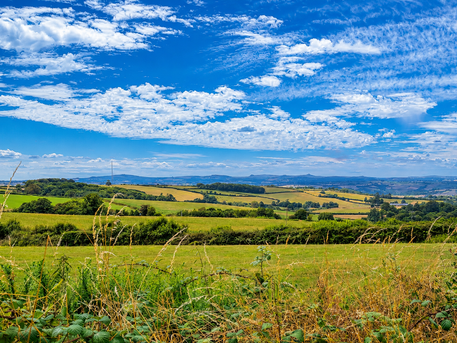 The Devon landscape looking west towards Bodmin Moor.